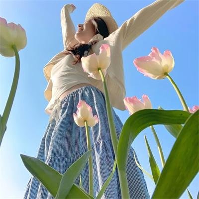太阳星辰国语